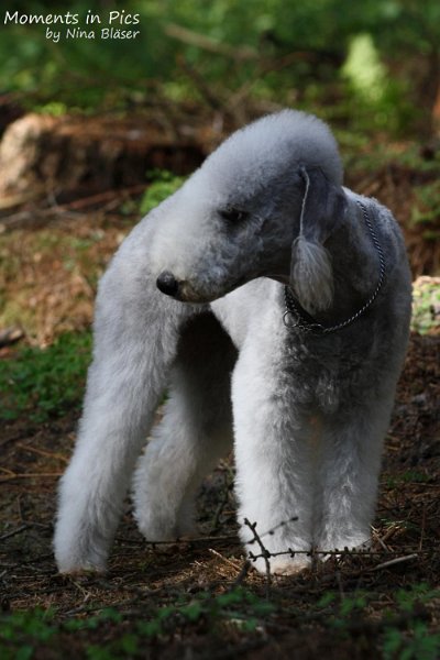 2010-05-29 Alanna und Svet (10).jpg - Arc-en-ciel Alanna 2010-05-29